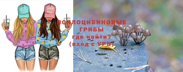 МДПВ Горнозаводск