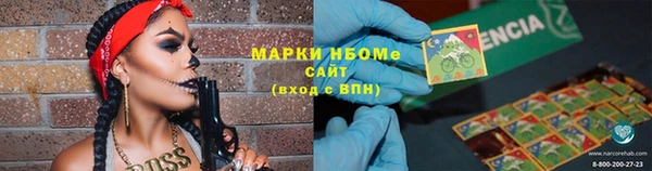 шишки Горно-Алтайск