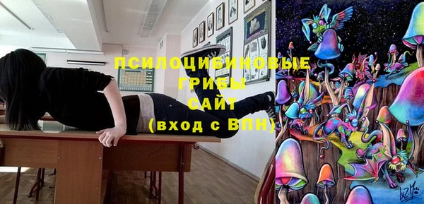 шишки Горно-Алтайск