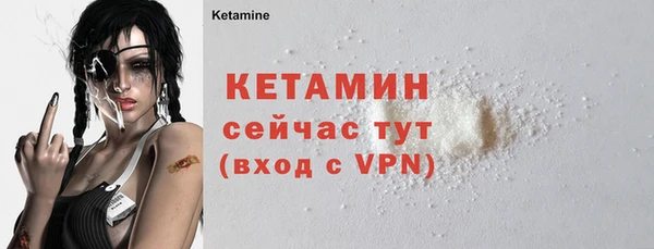 шишки Горно-Алтайск