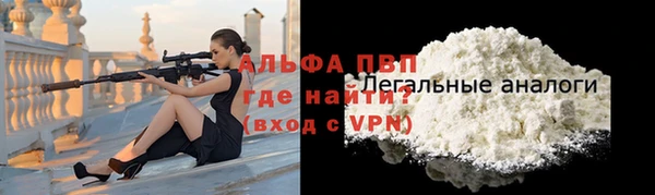 шишки Горно-Алтайск