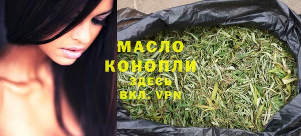 шишки Горно-Алтайск