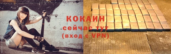 МДПВ Горнозаводск