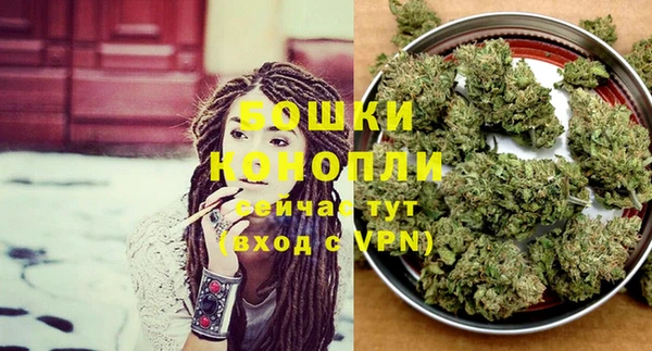 шишки Горно-Алтайск