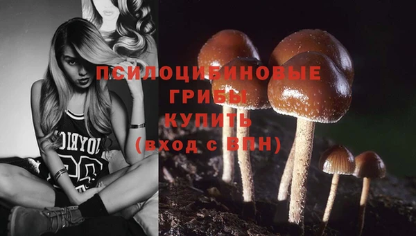 шишки Горно-Алтайск